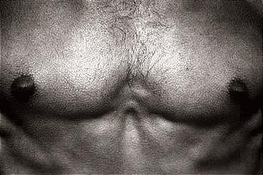 The Chest by Dianora Niccolini