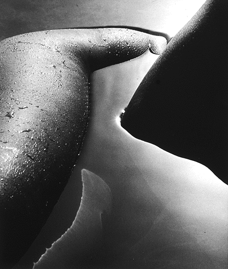 Abstract erotic photography