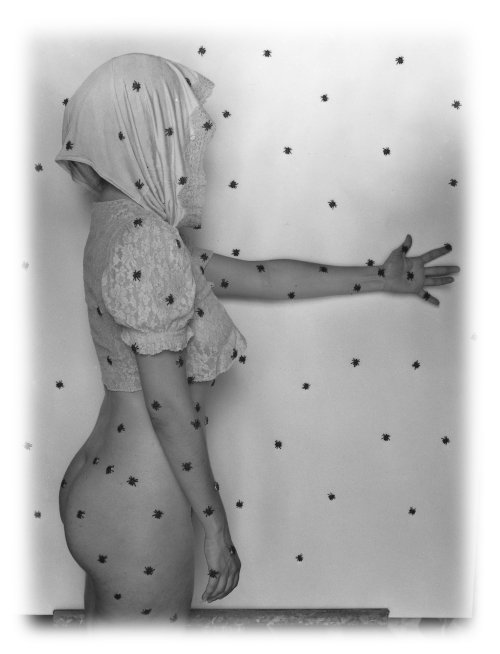 A photo by Cirenaica Moreira