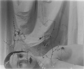 A photo by Cirenaica Moreira