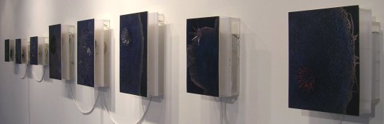 Wall of Claire Watkins' work