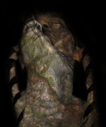 Yo Soy el Arbol by Deborah Nofret