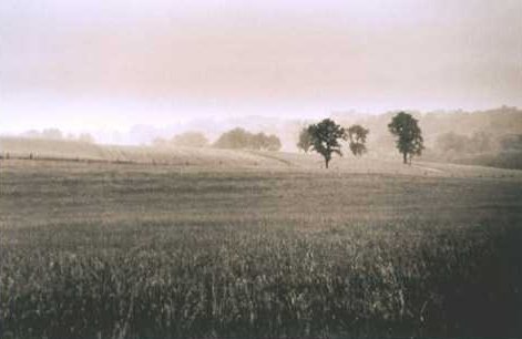 Lonesome Lea, WV by Holly Foss
