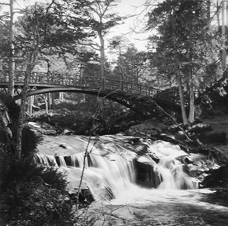 photo by Malcolm Sharp