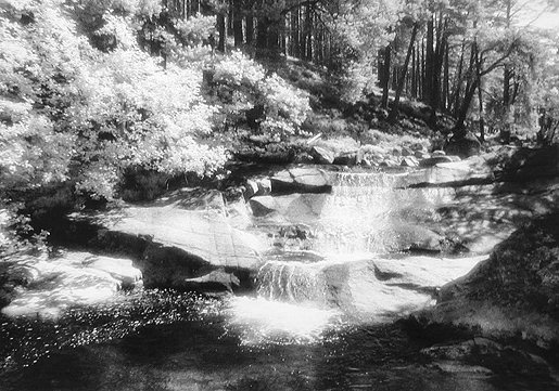 photo by Malcolm Sharp