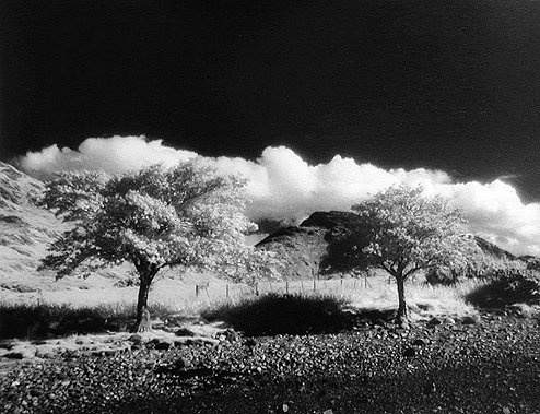 photo by Malcolm Sharp