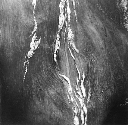 photo by Malcolm Sharp