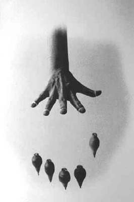 A photo by Marta Maria P�rez Bravo