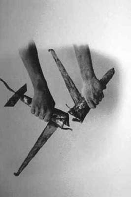 A photo by Marta Maria P�rez Bravo