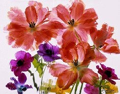 Pluta Flower Folio Photo