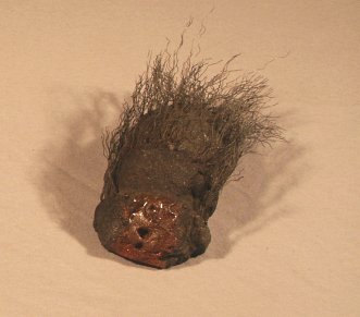 Bedbug Sculpture by Sarah Wegner