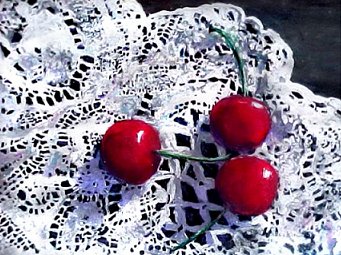 Barbara Januszkiewicz