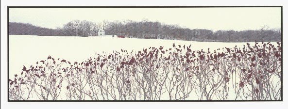 Maplewood Township Homestead Minnesota