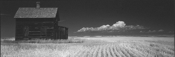 Near Chester, Montana