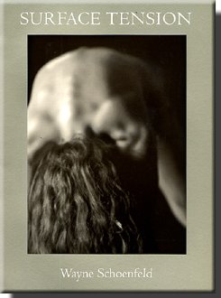 book by Wayne Schoenfeld